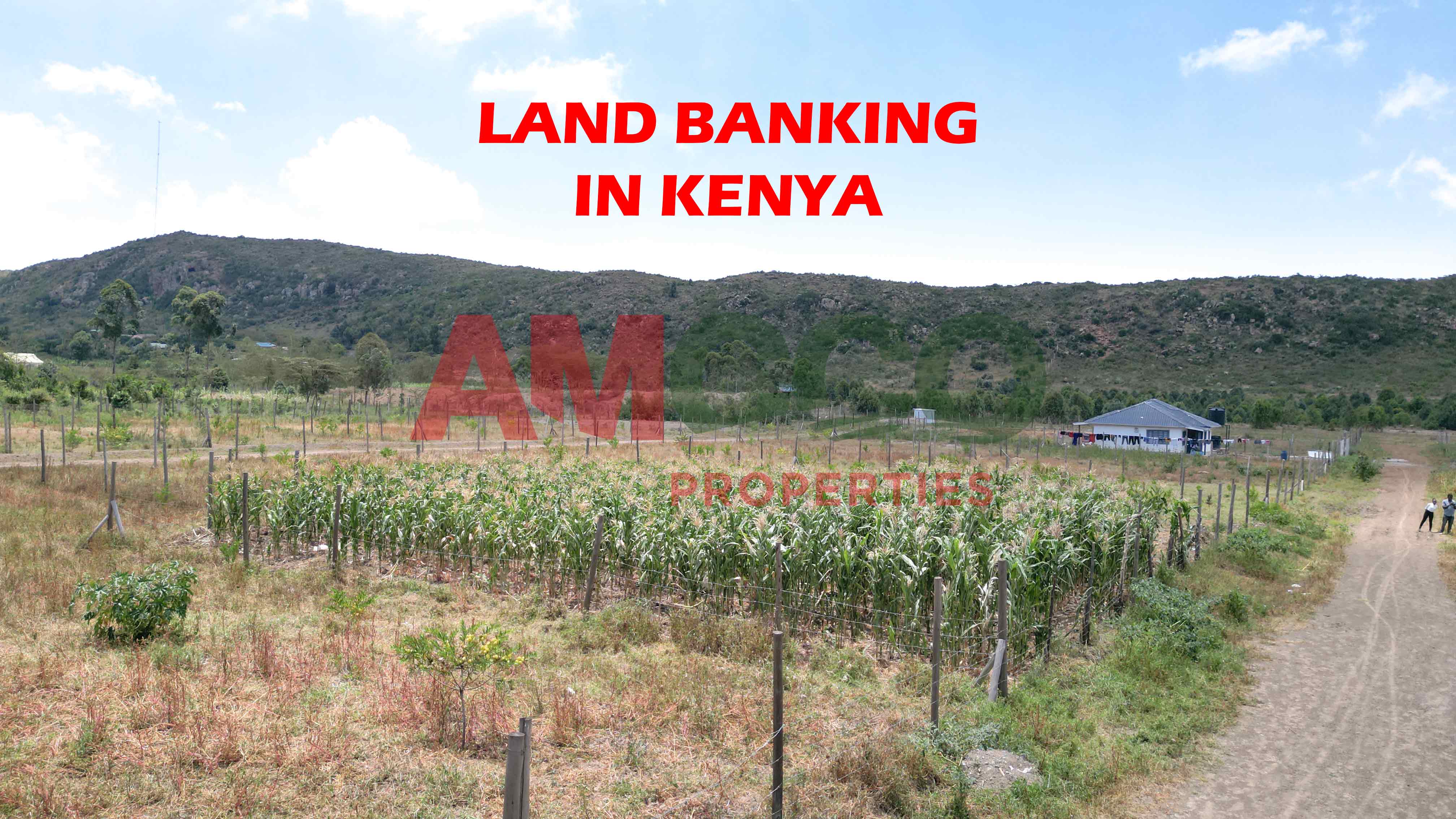 Why land banking is the best form of investment